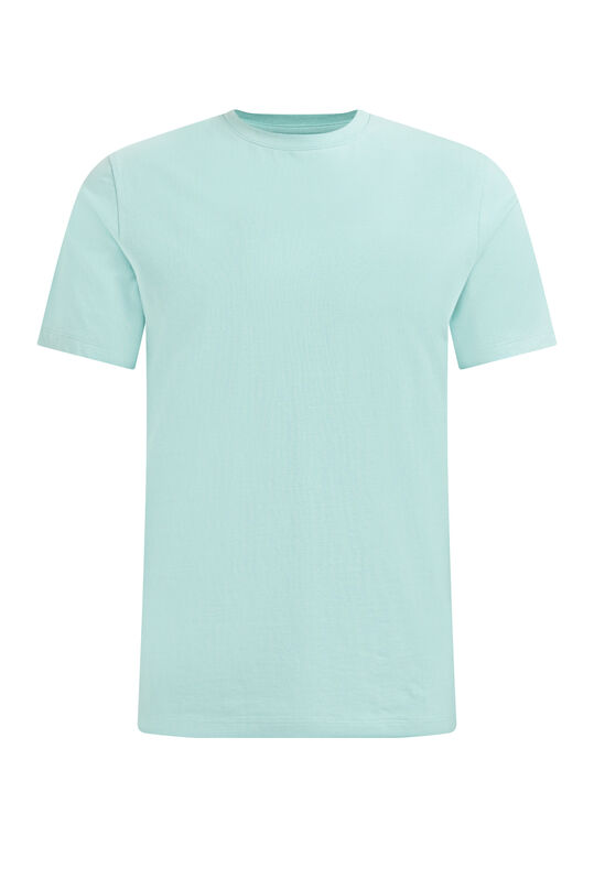 Herren-T-Shirt, Mintgrün