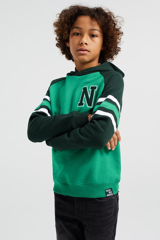 Jungen-Sweatshirt mit Colourblock-Design, Grün