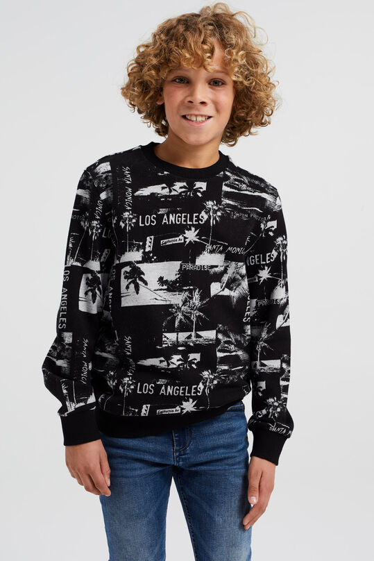 Jungen-Sweatshirt mit Muster, Hellgrau