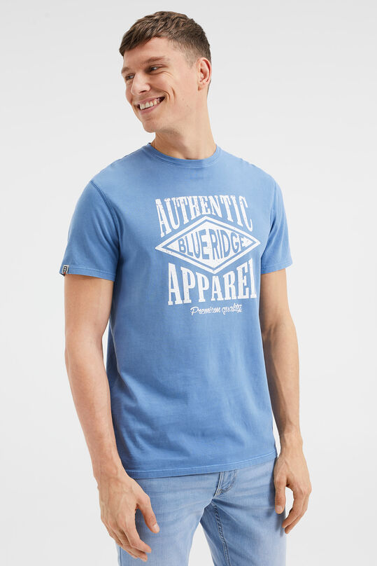 Herren-T-Shirt mit Aufdruck, Graublau
