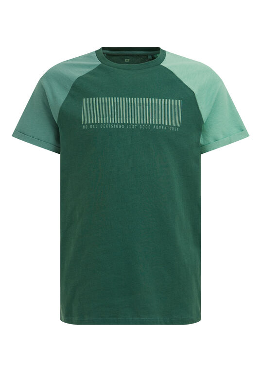 Jungen-T-Shirt mit Aufdruck, Grün