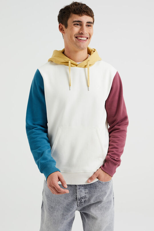 Herren-Sweatshirt mit Colourblock-Design, Mehrfarbig