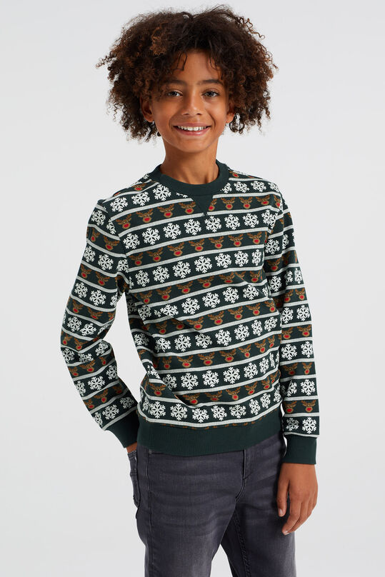 Jungen-Sweatshirt mit Muster, Grün