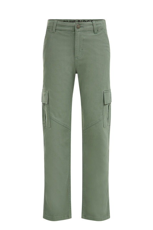Gerade geschnittene Cargo-Hose für Jungen, Graugrün