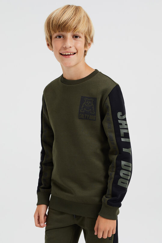 Jungen-Sweatshirt mit Aufdruck, Moosgrün