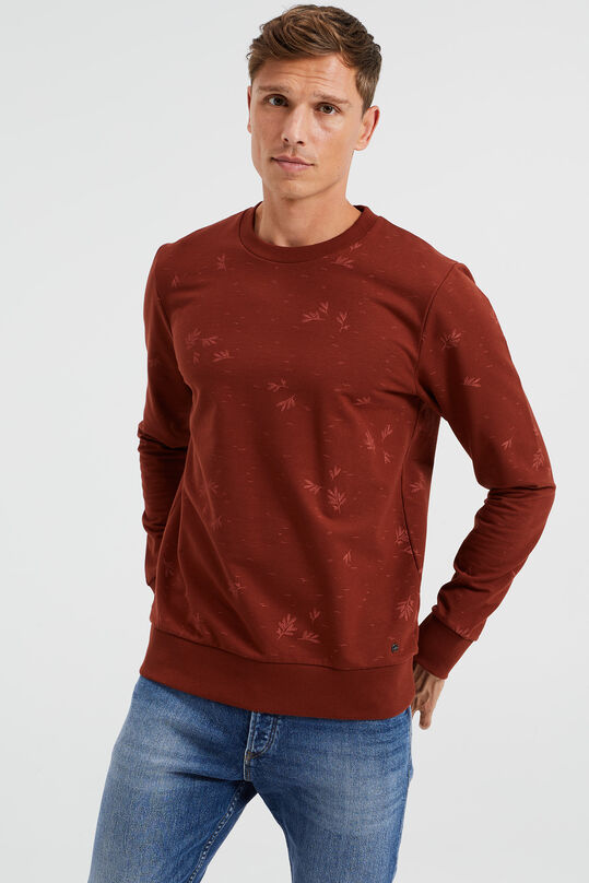 Herren-Sweatshirt mit Muster, Braun