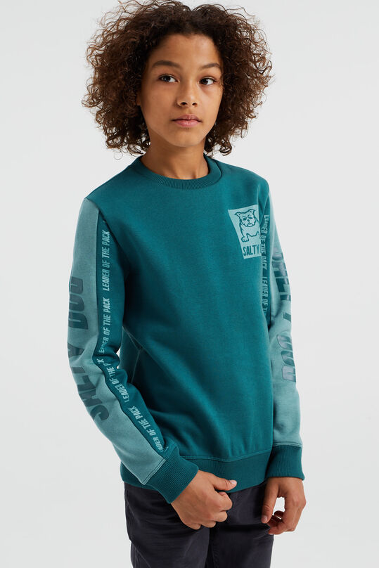Jungen-Sweatshirt mit Aufdruck, Grün blau