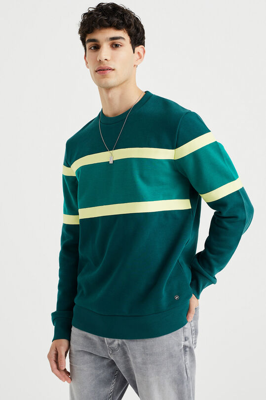 Herren-Sweatshirt mit Colourblock-Design, Grün