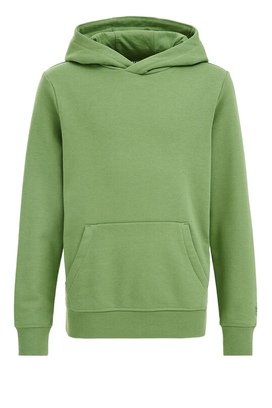 Unisex-Kapuzensweatshirt, Graugrün