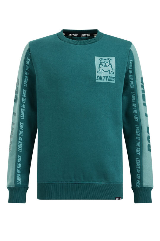 Jungen-Sweatshirt mit Aufdruck, Grün blau