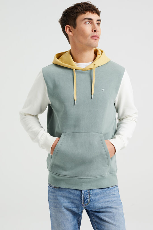 Herren-Sweatshirt mit Colourblock-Design, Graugrün