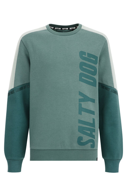 Jungen-Sweatshirt mit Colourblock-Design, Grün