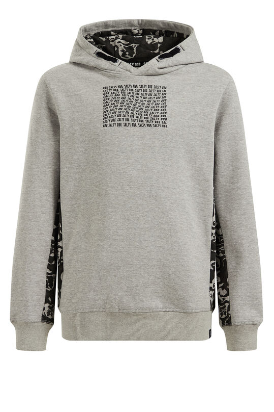 Jungen-Kapuzensweatshirt mit Aufdruck, Grau