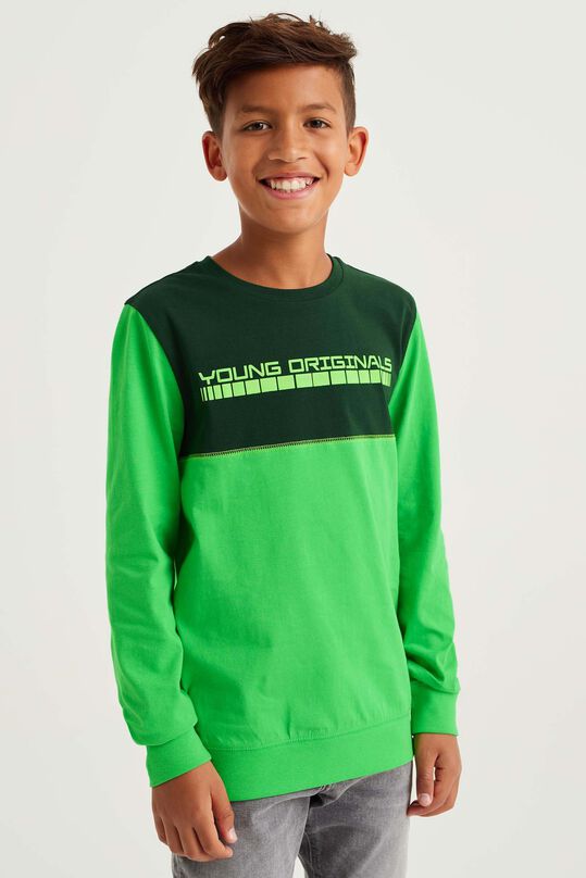 Jungen-Langarmshirt mit Aufdruck, Grün